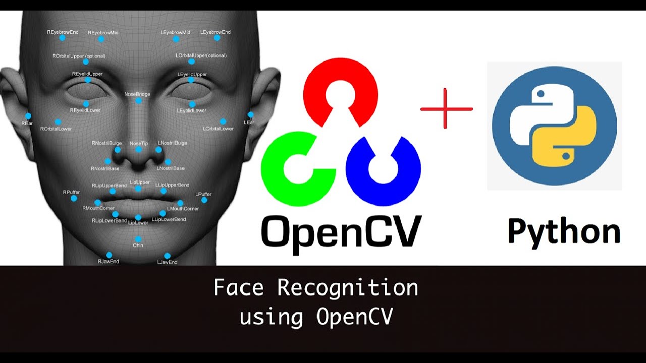 Face Detection using OpenCV + Python (🐍)
